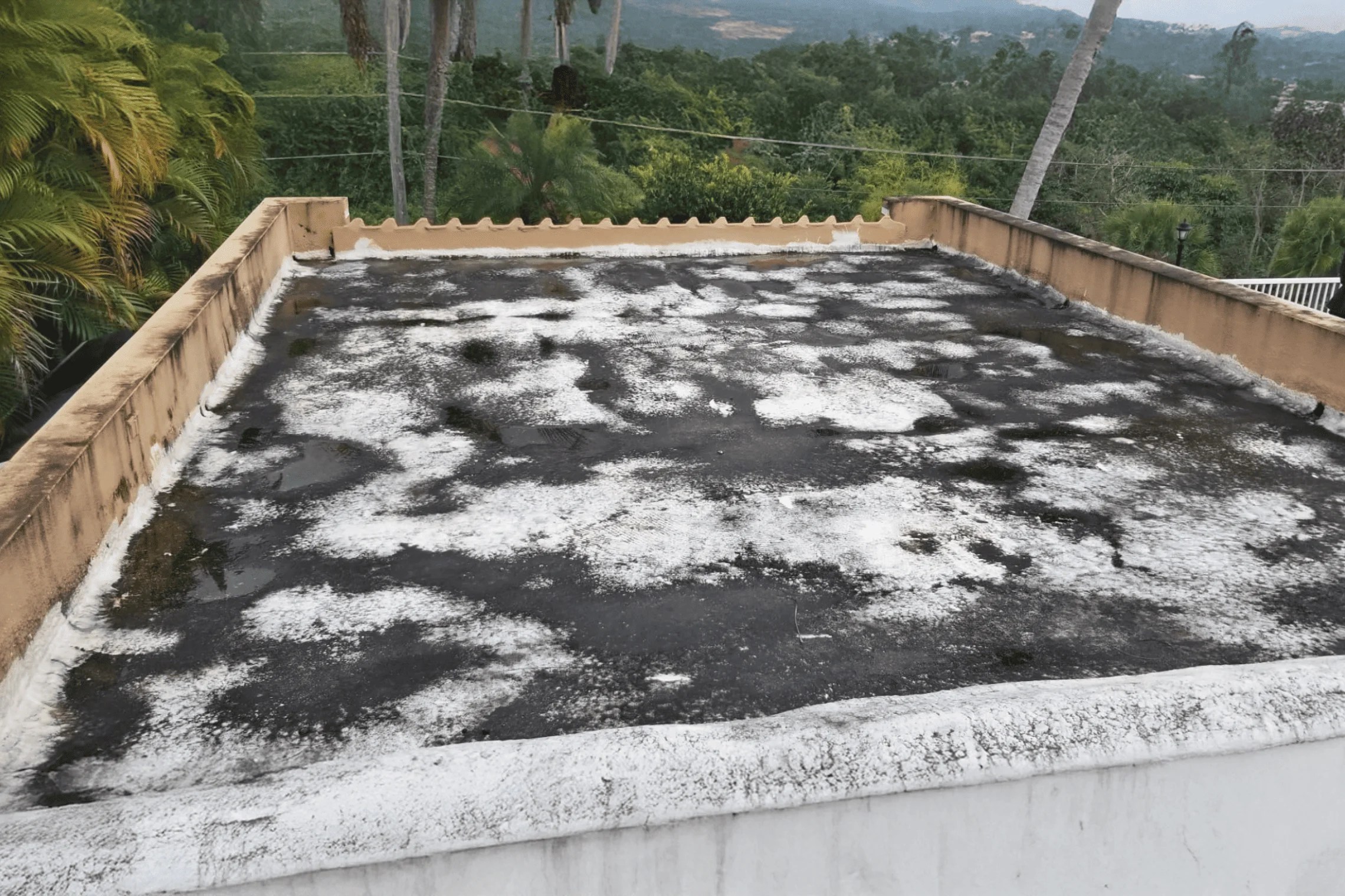 Techos Comerciales - Limpieza